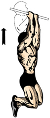 tractiuni biceps
