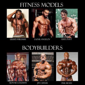 fitness models vs bodybuilders