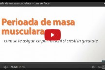 Perioada de masa musculara