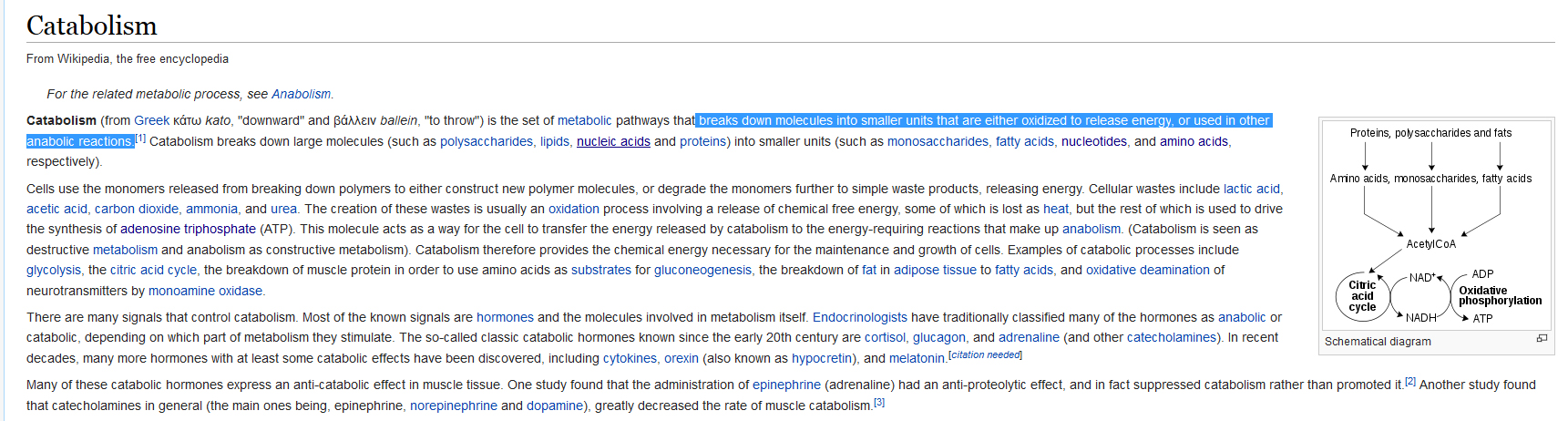 Catabolism definitie Wikipedia