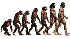 evolutia-umana